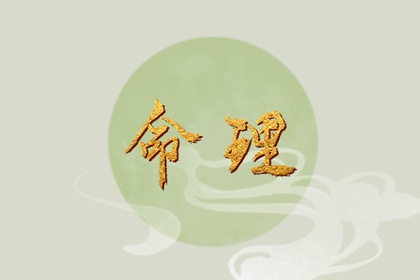 算命紫微斗数 命盘查询免费算命 卦命盘 命盘排盘 紫微婚姻免费测算 排命盘八字